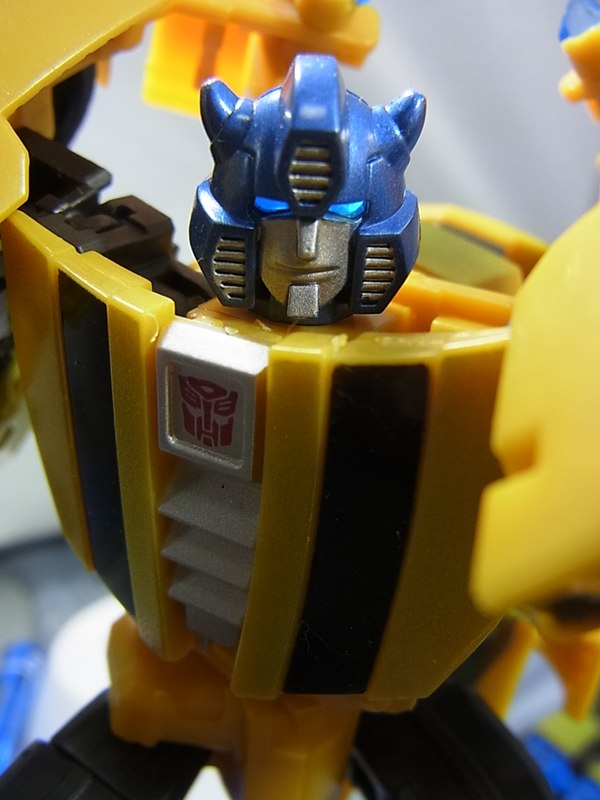 Transformers Generations TG 26 Bumblebee Goldbug Out Of Package Images Compare Takara And Hasbro Toys  (11 of 17)